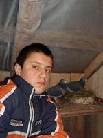 Hodowca